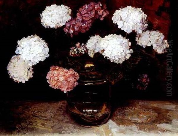 Hydrangeas Oil Painting by Frans David Oerder