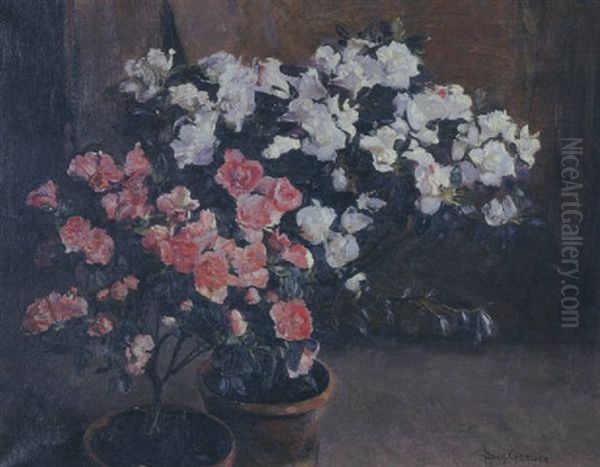 Blommestuk (still Life Of Azaleas) Oil Painting by Frans David Oerder