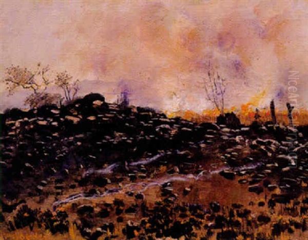 A Veld Fire Oil Painting by Frans David Oerder