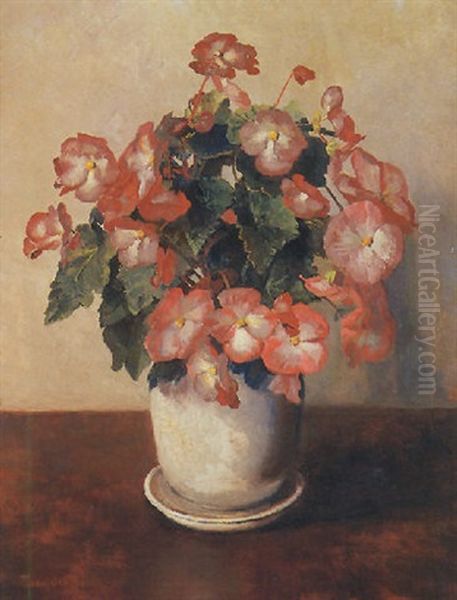 Still Life Of Begonias Oil Painting by Frans David Oerder