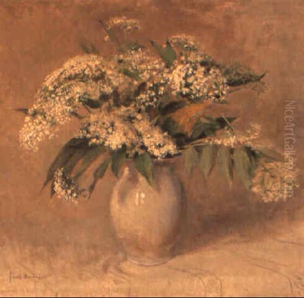 Still Life Of Lacecaps Oil Painting by Frans David Oerder