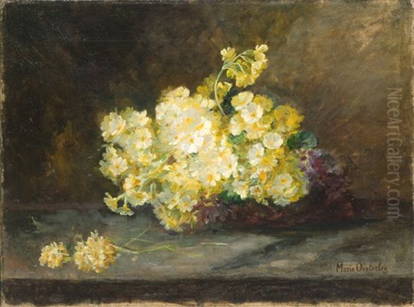 Schlusselblumen Oil Painting by Marie Oesterley