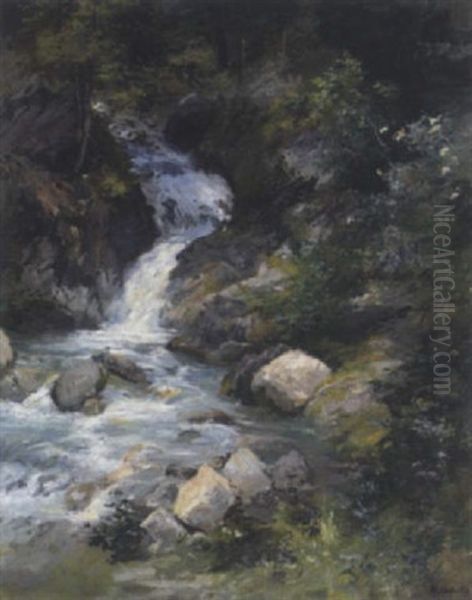 Bachlauf In Waldlichtung Oil Painting by Marie Oesterley