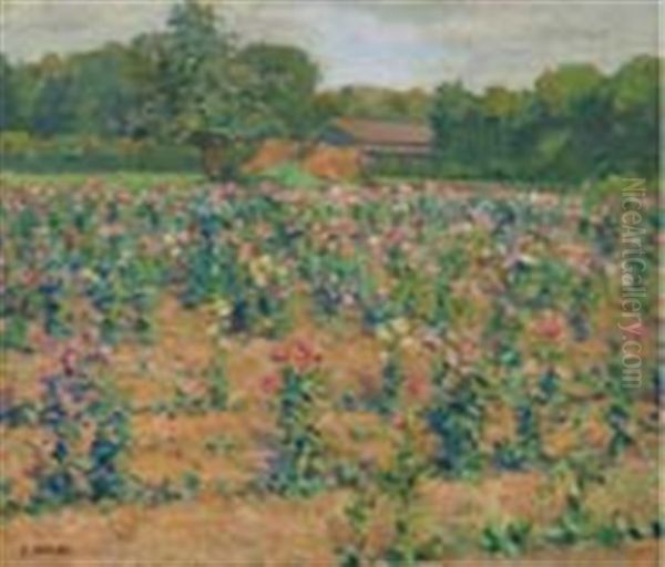 China Aster Field Oil Painting by Saburosuke Okada