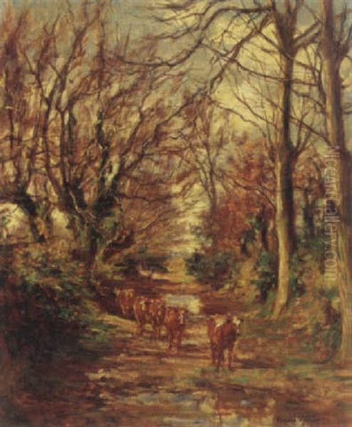 Cattle In A Stream Bed Oil Painting by Aloysius C. O'Kelly