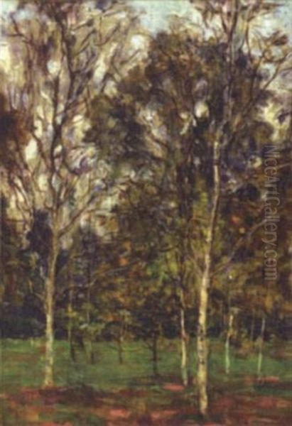 Birch Woods Oil Painting by Aloysius C. O'Kelly