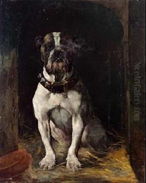 Bulldog Oil Painting by Frederico Olaria