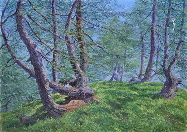 Sous-bois, Pinede Marine Oil Painting by Rodolfo Olgiati