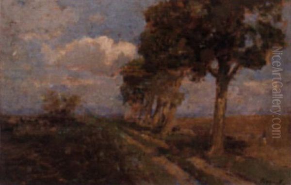 Landschaft Mit Feldweg Oil Painting by Ferenc Olgyay