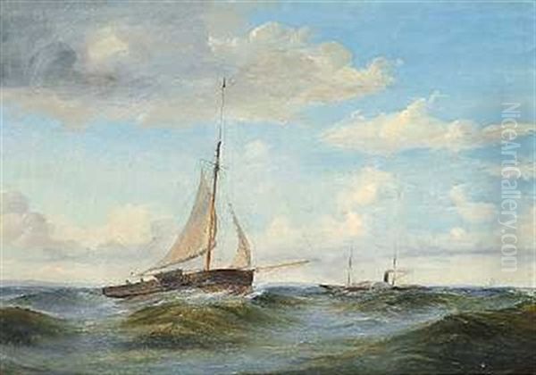 Hjuldamper Og Sejlbad I Hoj So Oil Painting by Carl Julius Emil Olsen