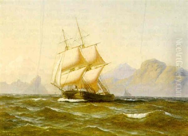 Marine Oil Painting by Carl Julius Emil Olsen