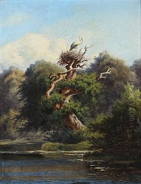 Stork In An Old by Peter Olsted