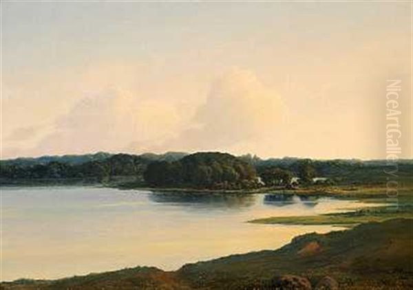 Tidlig Aftenlys Over Soen Ved Skjoldnaesholm Oil Painting by Peter Olsted