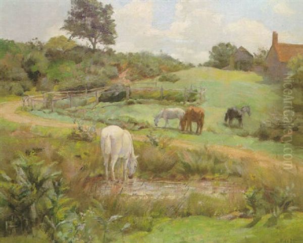 Horses Grazing In A Normandy Landscape Oil Painting by Frank O'Meara