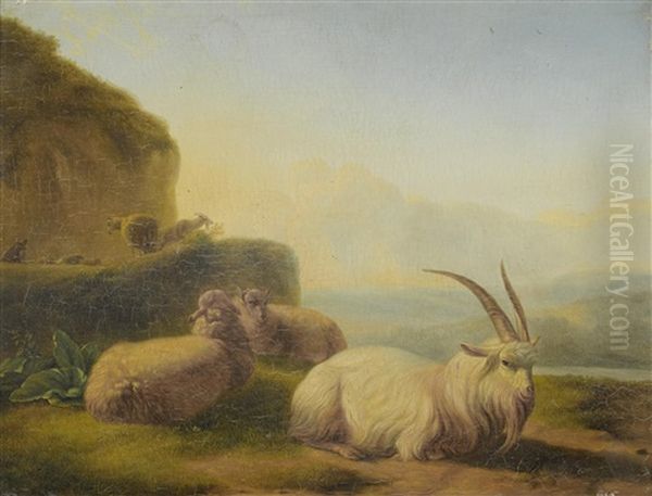 Study Of Goats by Balthasar Paul Ommeganck