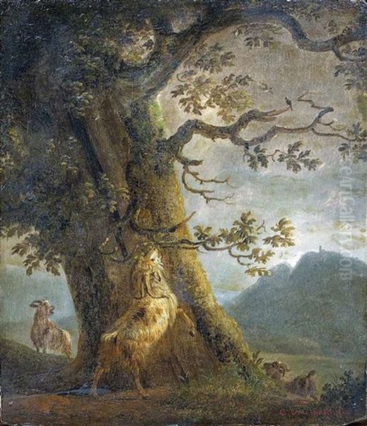 Widder Und Ziegen Unter Einem Eichenbaum Oil Painting by Balthasar Paul Ommeganck