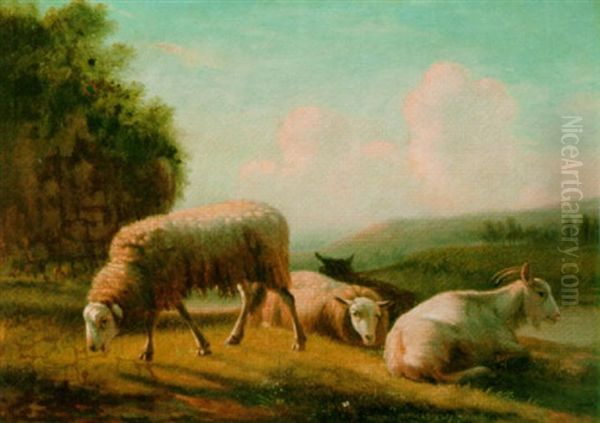 Sheep Grazing In A Meadow by Balthasar Paul Ommeganck