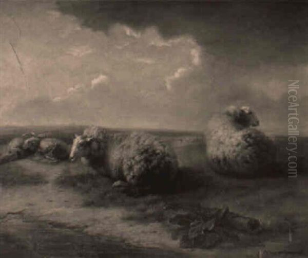 Moutons Au Bord De La Mare Oil Painting by Balthasar Paul Ommeganck