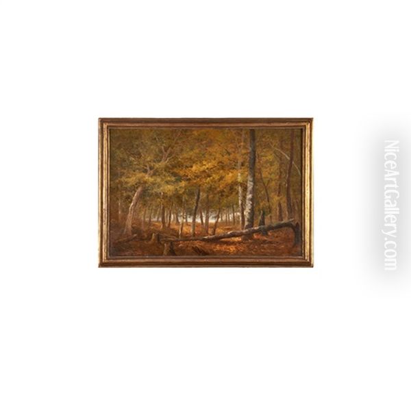 Forest Scene Oil Painting by William Ongley