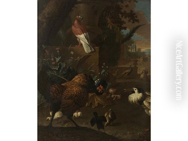 A Turkey, A Pigeon, A Peafowl, A Ruff And A Chicken With Chicks In A Park Oil Painting by Adriaen van Oolen