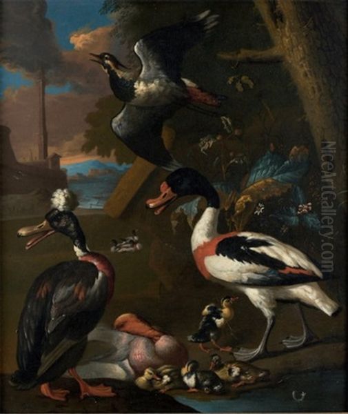 Oiseaux De Nuit Oil Painting by Adriaen van Oolen