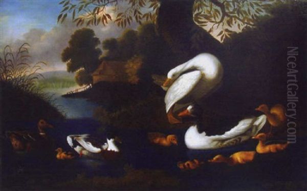 Canards Et Cygnes Sur Un Etang Oil Painting by Adriaen van Oolen