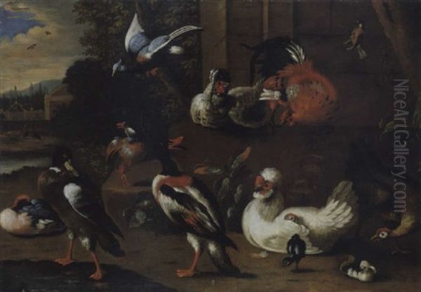 Exotisches Geflugel In Einer Voliere Vor Einem Schlosspark Oil Painting by Adriaen van Oolen