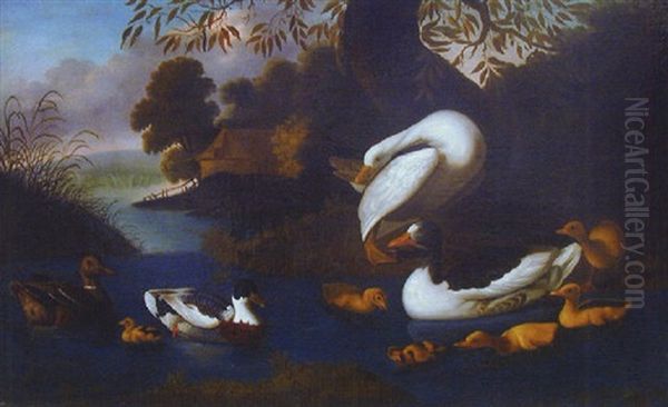 Canards Et Cygnes Sur Un Etang Oil Painting by Adriaen van Oolen