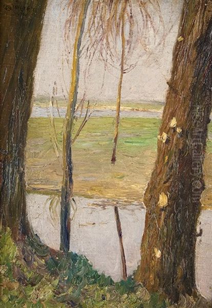 Weiden Am Ufer Oil Painting by Walter Ophey