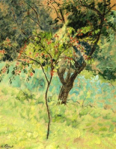 Le Petit Arbre En Fleurs Oil Painting by Marthe Orant