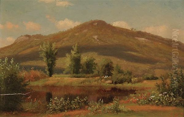 Meadow Pond Oil Painting by Alfred T. Ordway