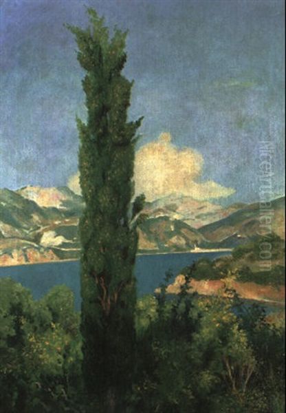 Zypresse Bei Kalamotta, Dalmatien Oil Painting by Emil Orlik