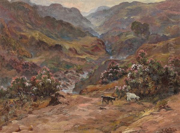 La Vallee De L'oued Kebir-blida Oil Painting by Jose Benito Ortega