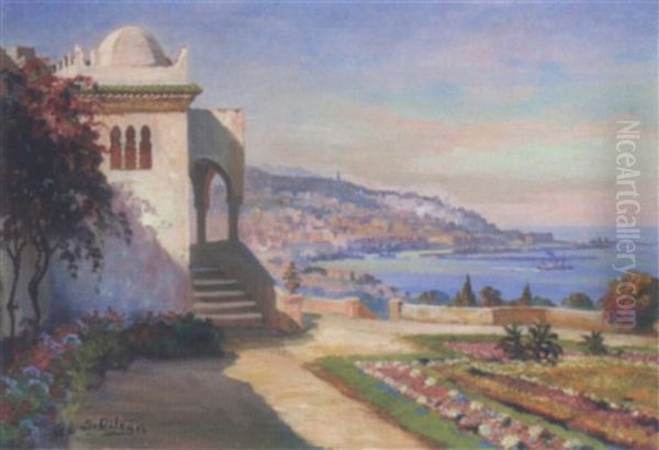 La Baie De Mustapha, Alger Oil Painting by Jose Benito Ortega