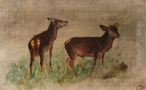 Rehbock Und Ricke Auf Einem Wiesenstuck Oil Painting by Francois Auguste Ortmans