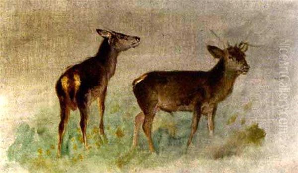 Hirschkuh Und Hirsch Auf Wiesenterrain Oil Painting by Francois Auguste Ortmans