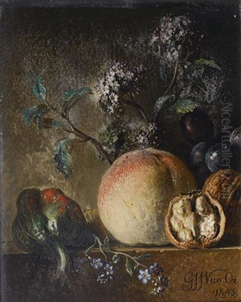 Nature Morte Aux Poivrons, Peches Et Noix Sur Un Entablement Oil Painting by Georgius Jacobus Johannes van Os