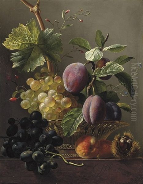 Grapes, Prunes, Peaches And A Chessnut On A Ledge Oil Painting by Georgius Jacobus Johannes van Os