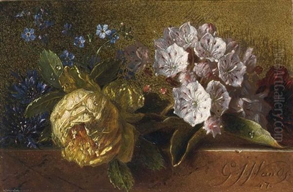 Flowers On A Ledge Oil Painting by Georgius Jacobus Johannes van Os