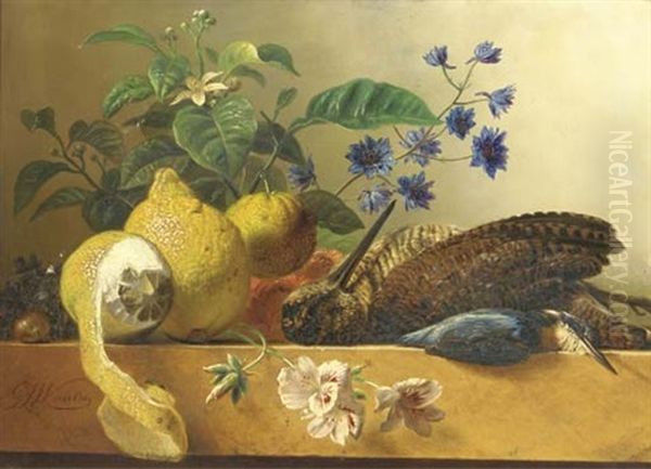 A Snipe, A Kingfisher, Lemons And Flowers On A Ledge Oil Painting by Georgius Jacobus Johannes van Os