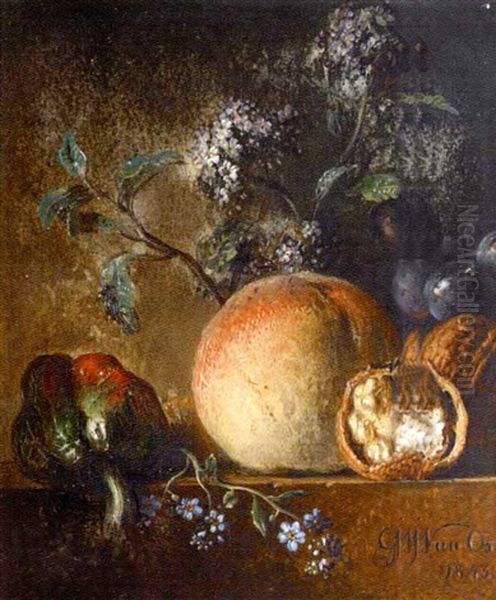 Nature Morte De Fleurs Et Fruits Oil Painting by Georgius Jacobus Johannes van Os