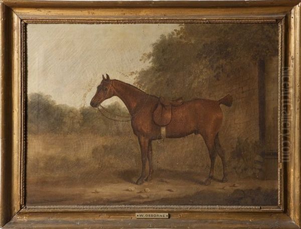 A Saddled Bay Hunter By A Wall In A Paddock Oil Painting by William Osborne