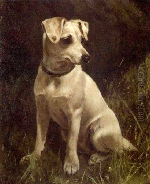 Study Of A Terrier Oil Painting by William Osborne