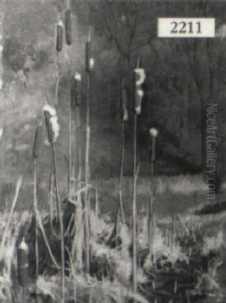 Cattails Oil Painting by William Osborne