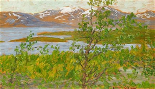 Sommarnatt Vid Tornetrask Oil Painting by Helmer Osslund