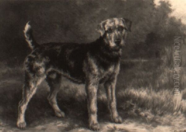 Portrait Of An Airdale Terrier Oil Painting by Edmund Henry Osthaus