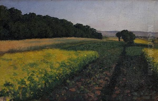 Weite Landschaft Mit Gelbbluhenden Feldern Oil Painting by Hermann Osthoff