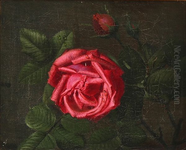 Still Life With A Red Rose With Raindrops On The Petals Oil Painting by Otto Didrik Ottesen