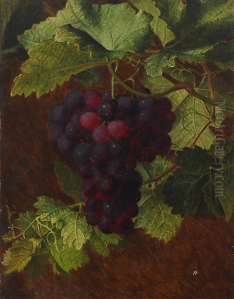 A Cluster Of Grapes Oil Painting by Otto Didrik Ottesen