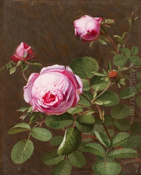 Stilleben Med Rosa Rosor Oil Painting by Otto Didrik Ottesen